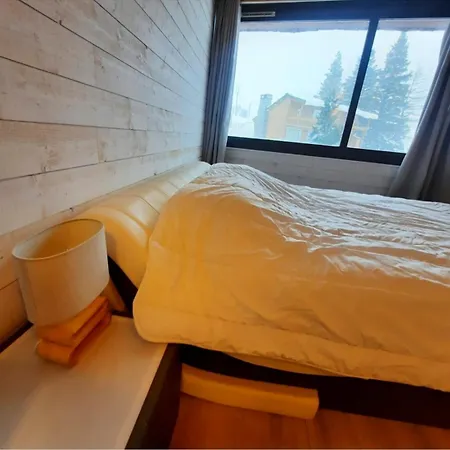 Le Chamois Mongie Centre 10 Pers Bel Standing